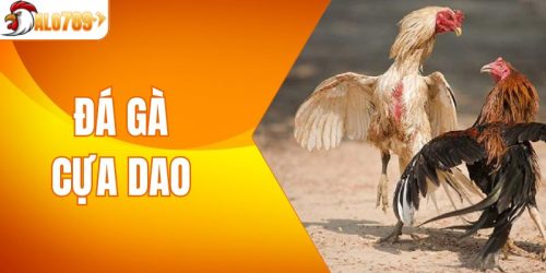 Đá Gà Cựa Dao - Giải Trí Hiện Đại, Lợi Nhuận Hấp Dẫn
