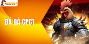 Đá gà CPC1 - Trảnh Nghiệm Đỉnh Cao Cho Người Mê Cá Cược