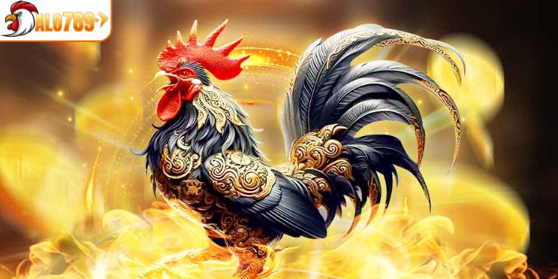 3 loại đá gà được anh em yêu thích nhất tại sảnh